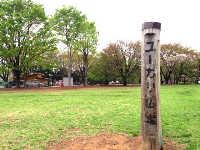 小金井公園ユーカリ広場BBQ場です